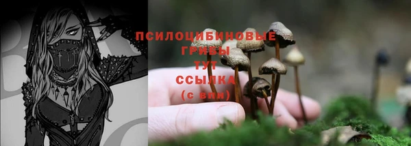 герыч Абаза