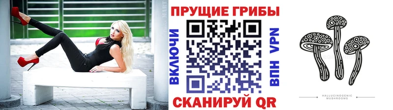 Галлюциногенные грибы прущие грибы  Белоусово 